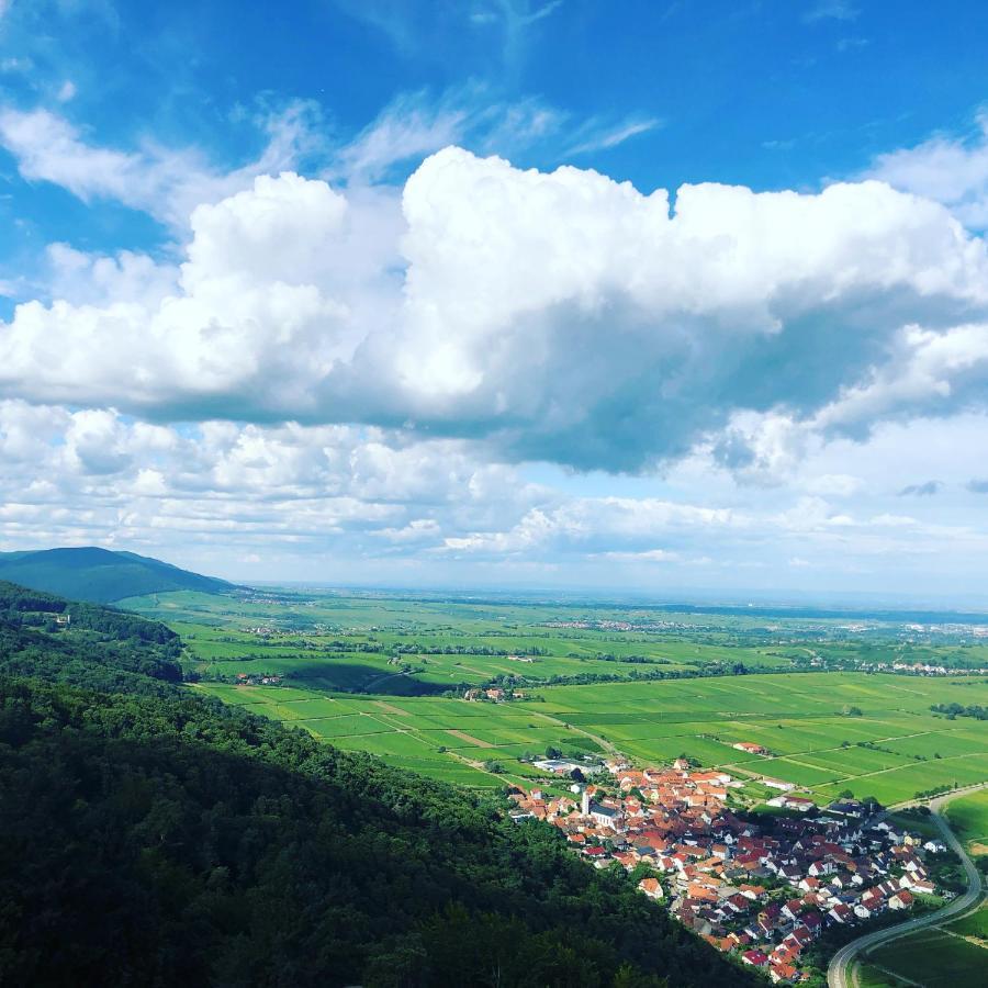 Ferienwohnung Suedpfalz Mit Fernblick Bochingen Exterior foto